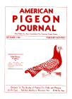 Magazine Cover